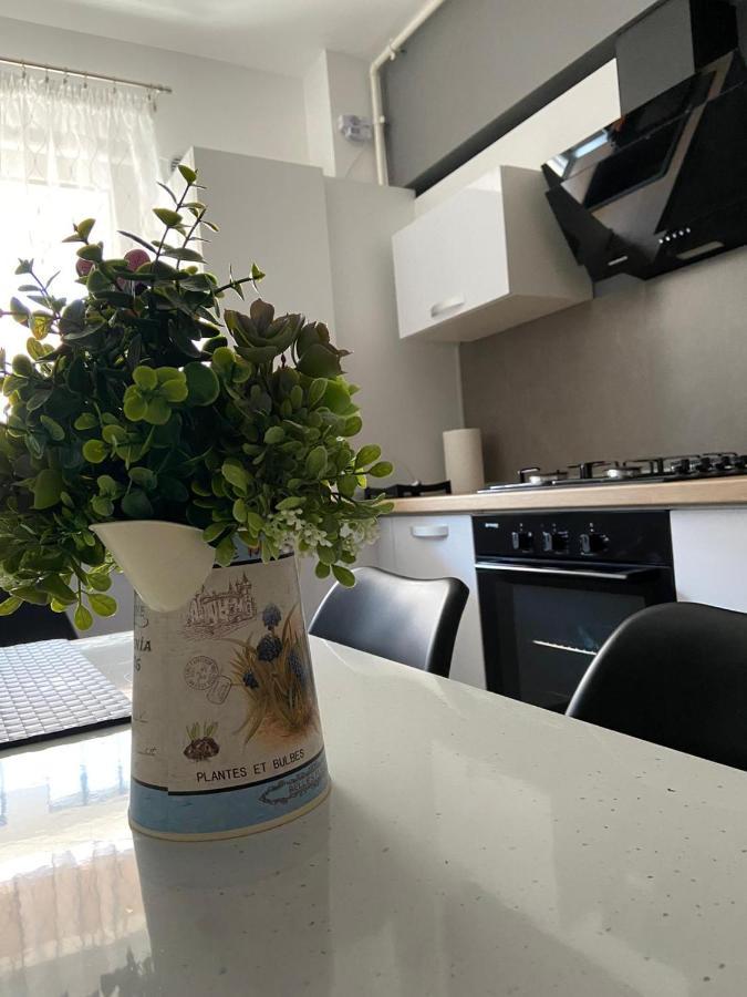 Qualis Apartament Braşov Buitenkant foto